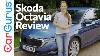2020 Skoda Octavia Here S Why It S The Best Car Skoda Build